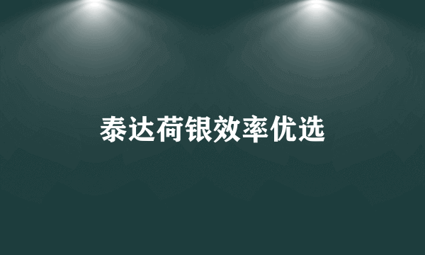 泰达荷银效率优选