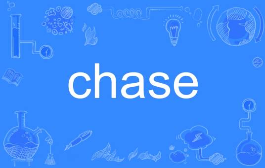 chase（英语单词）