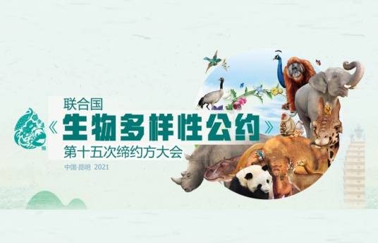联合国生物多样性大会