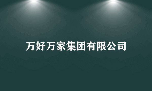 万好万家集团有限公司