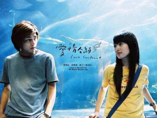 爱情合约（2004年林依晨主演的电视剧）