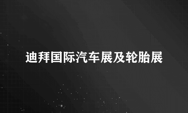 迪拜国际汽车展及轮胎展