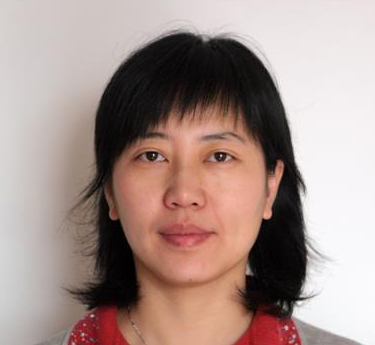 王海芳（上海大学教授）