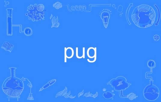 pug