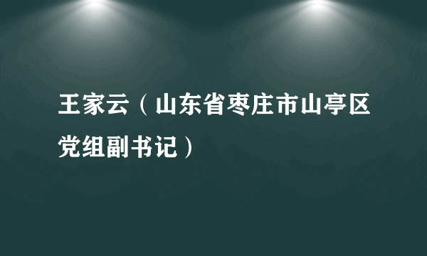 王家云（山东省枣庄市山亭区党组副书记）