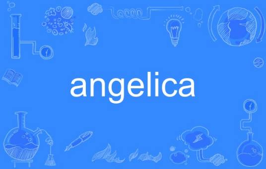Angelica（英语单词）