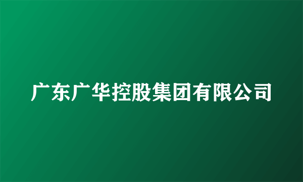 广东广华控股集团有限公司