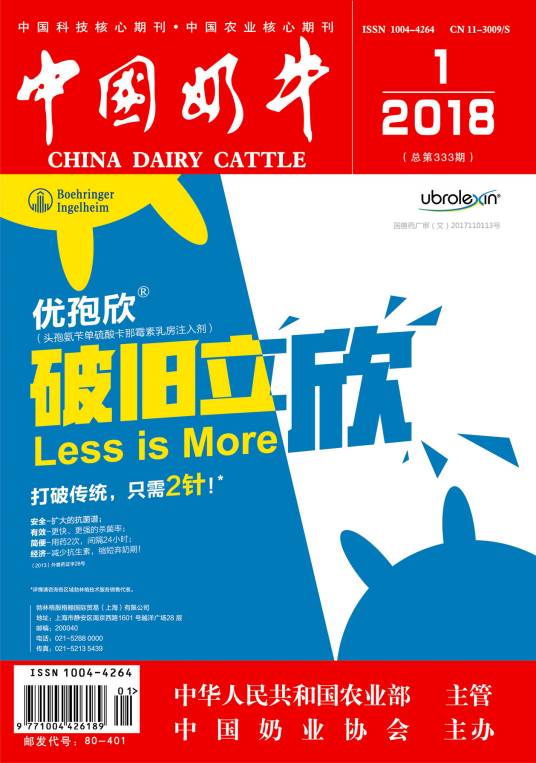 中国奶牛