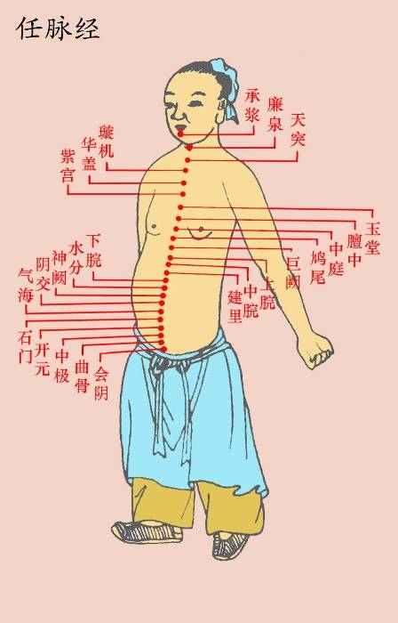 中医经络养生