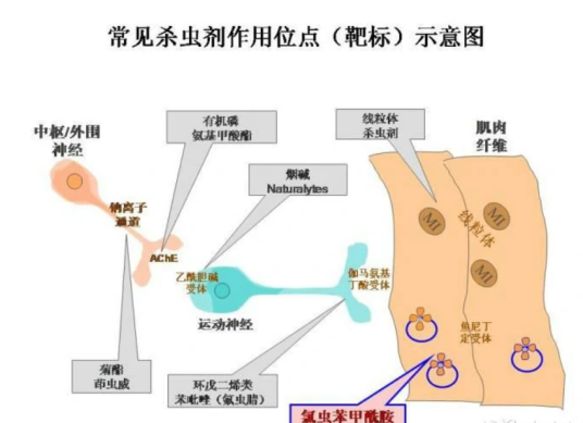 昆虫激素类农药