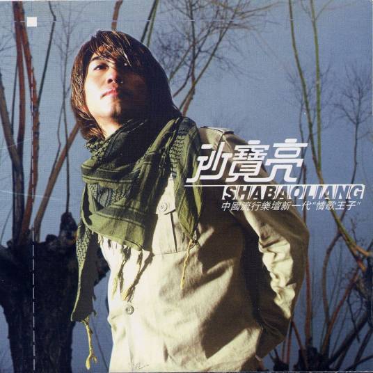 飘（沙宝亮演唱歌曲）