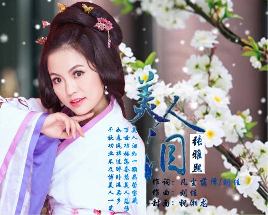 美人泪（内地女歌手张雅熙演唱的歌曲）