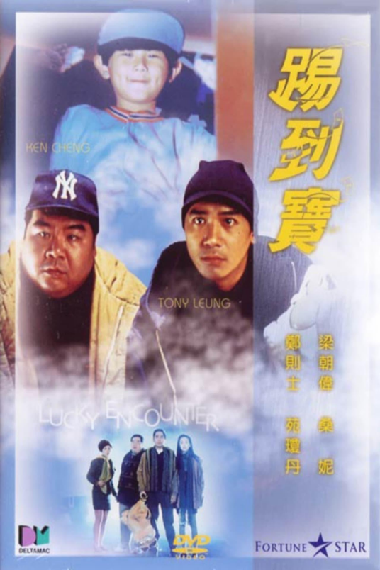 踢到宝（香港1992年杜琪峰执导电影）