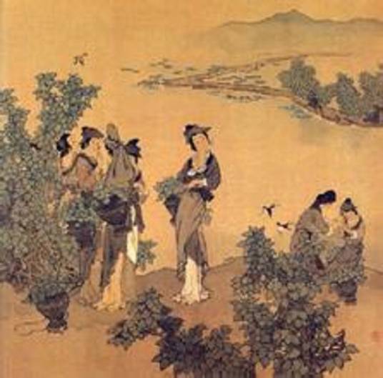 采桑女（古代诗词）