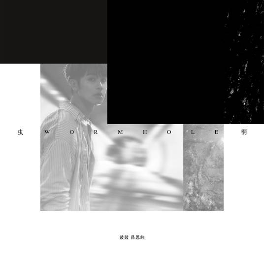 暂时停止呼吸（鼓鼓吕思纬演唱歌曲）