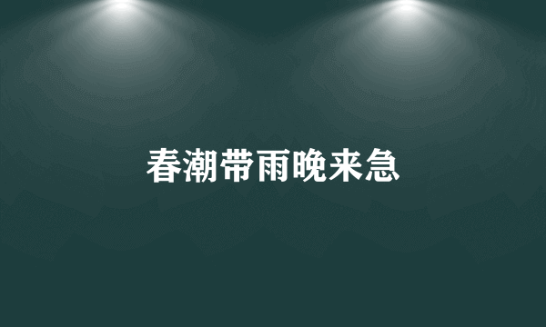 春潮带雨晚来急