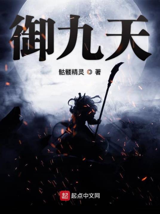 御九天（骷髅精创作的仙侠类网络小说）