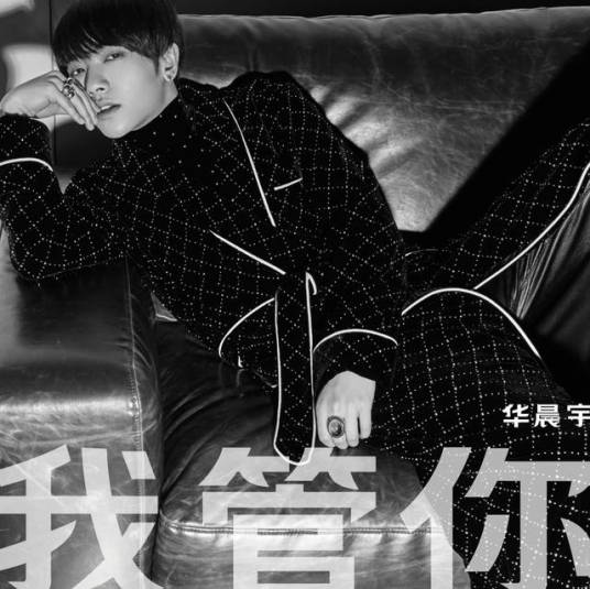 我管你（2015年华晨宇演唱的歌曲）