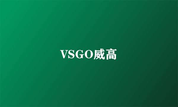 VSGO威高
