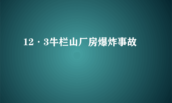 12·3牛栏山厂房爆炸事故