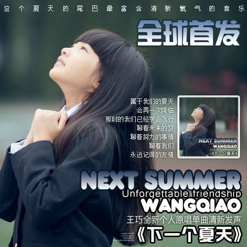 下一个夏天（王巧演唱歌曲）