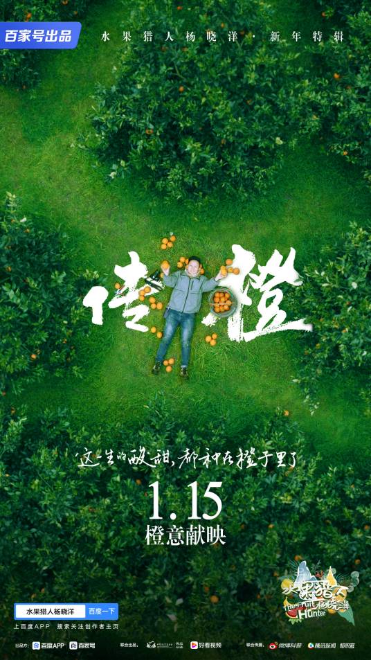 传橙（微纪录片《水果猎人杨晓洋》新年特辑）