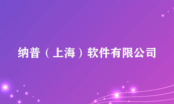 纳普（上海）软件有限公司
