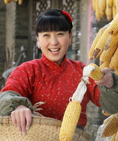 关东情（闫学晶演唱歌曲）