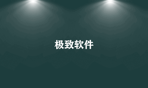 极致软件