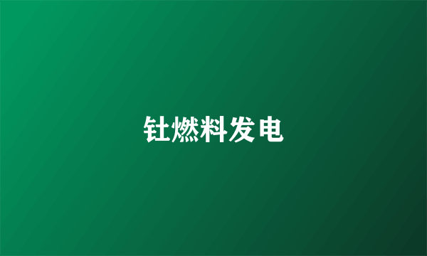 钍燃料发电