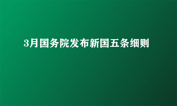 3月国务院发布新国五条细则