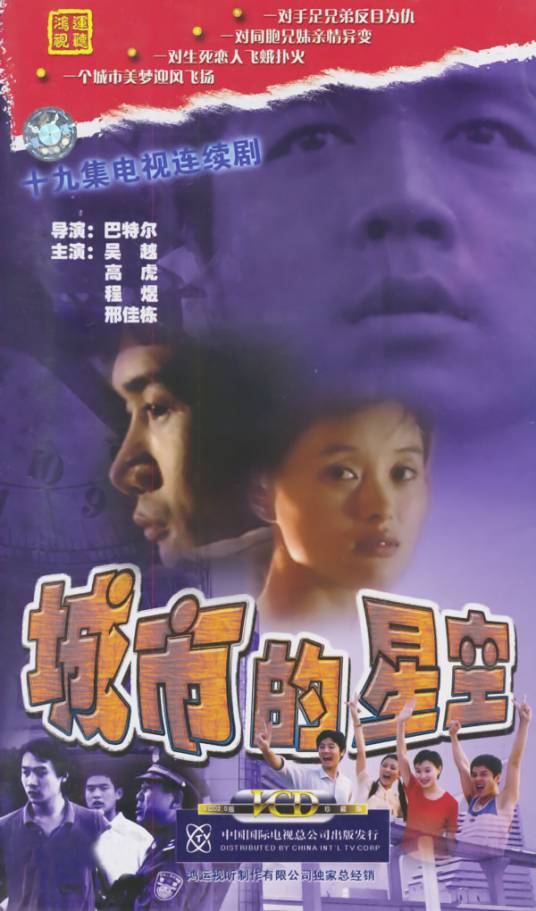 城市的星空（2004年巴特尔执导的电视剧）
