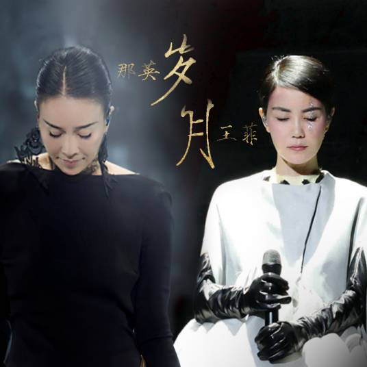 岁月（2018年那英、王菲演唱的歌曲）