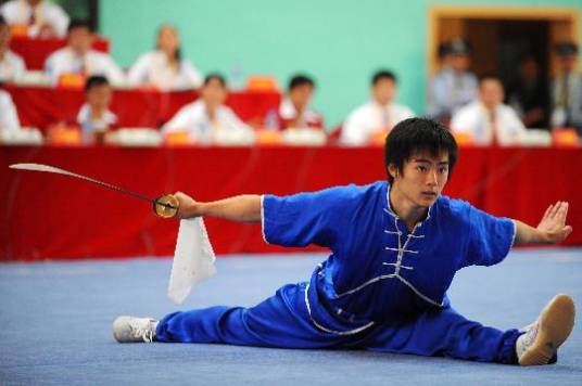 刀术（刀的使用方法和技巧）