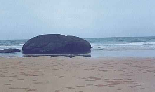 福建晋江深沪湾国家地质公园