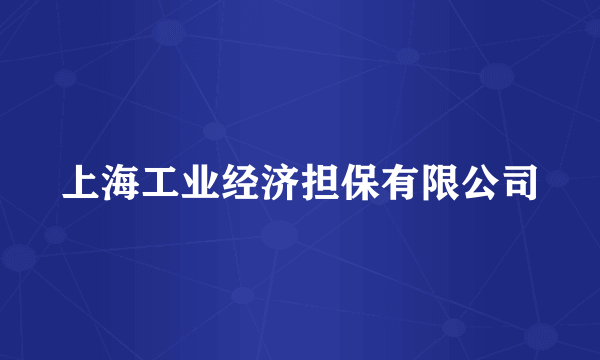 上海工业经济担保有限公司