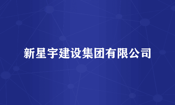 新星宇建设集团有限公司