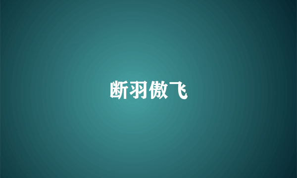 断羽傲飞