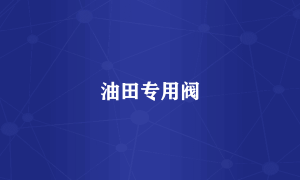 油田专用阀