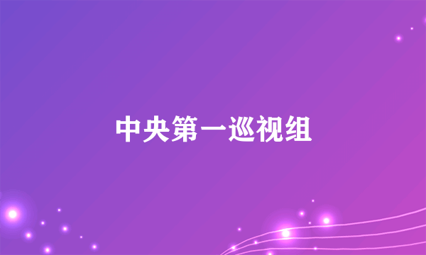 中央第一巡视组