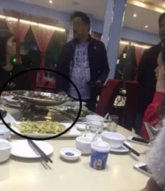 桂林天价鱼