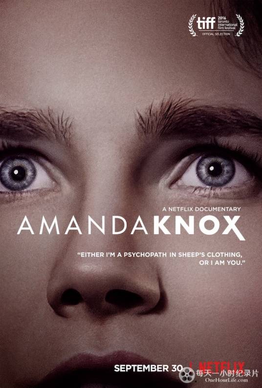 阿曼达·诺克斯（2016年美国 / 丹麦制作的纪录片）