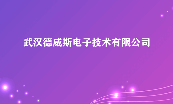 武汉德威斯电子技术有限公司