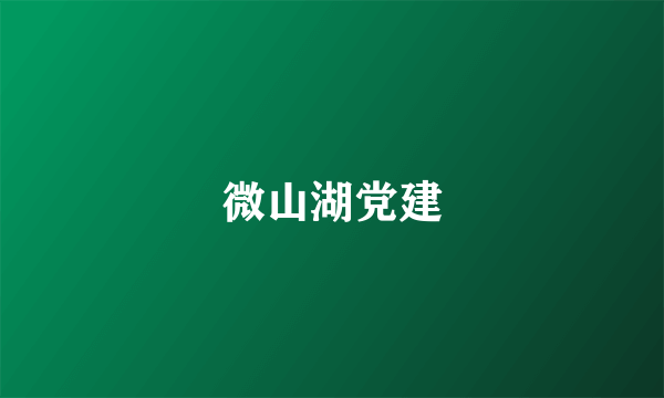 微山湖党建