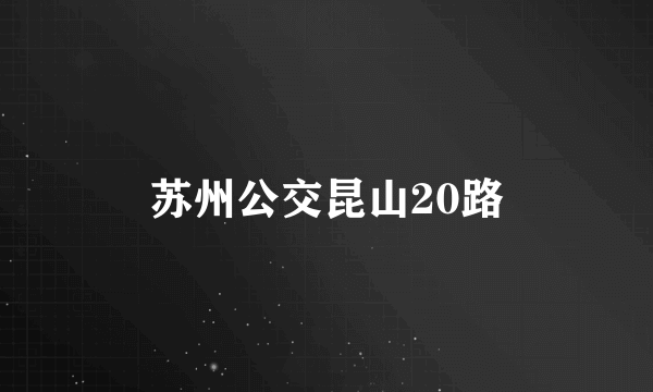 苏州公交昆山20路