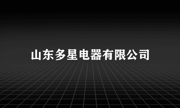 山东多星电器有限公司