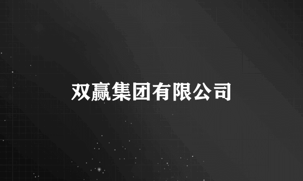 双赢集团有限公司