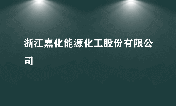 浙江嘉化能源化工股份有限公司
