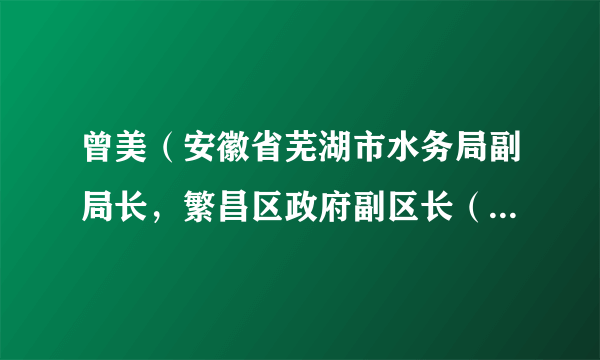 曾美（安徽省芜湖市水务局副局长，繁昌区政府副区长（挂职））