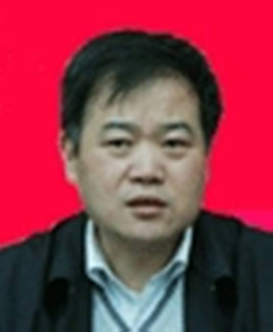 张新生（复旦大学管理学院教授）